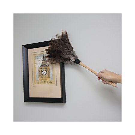 Boardwalk Professional Ostrich Feather Duster, 13" Handle BWK23FD